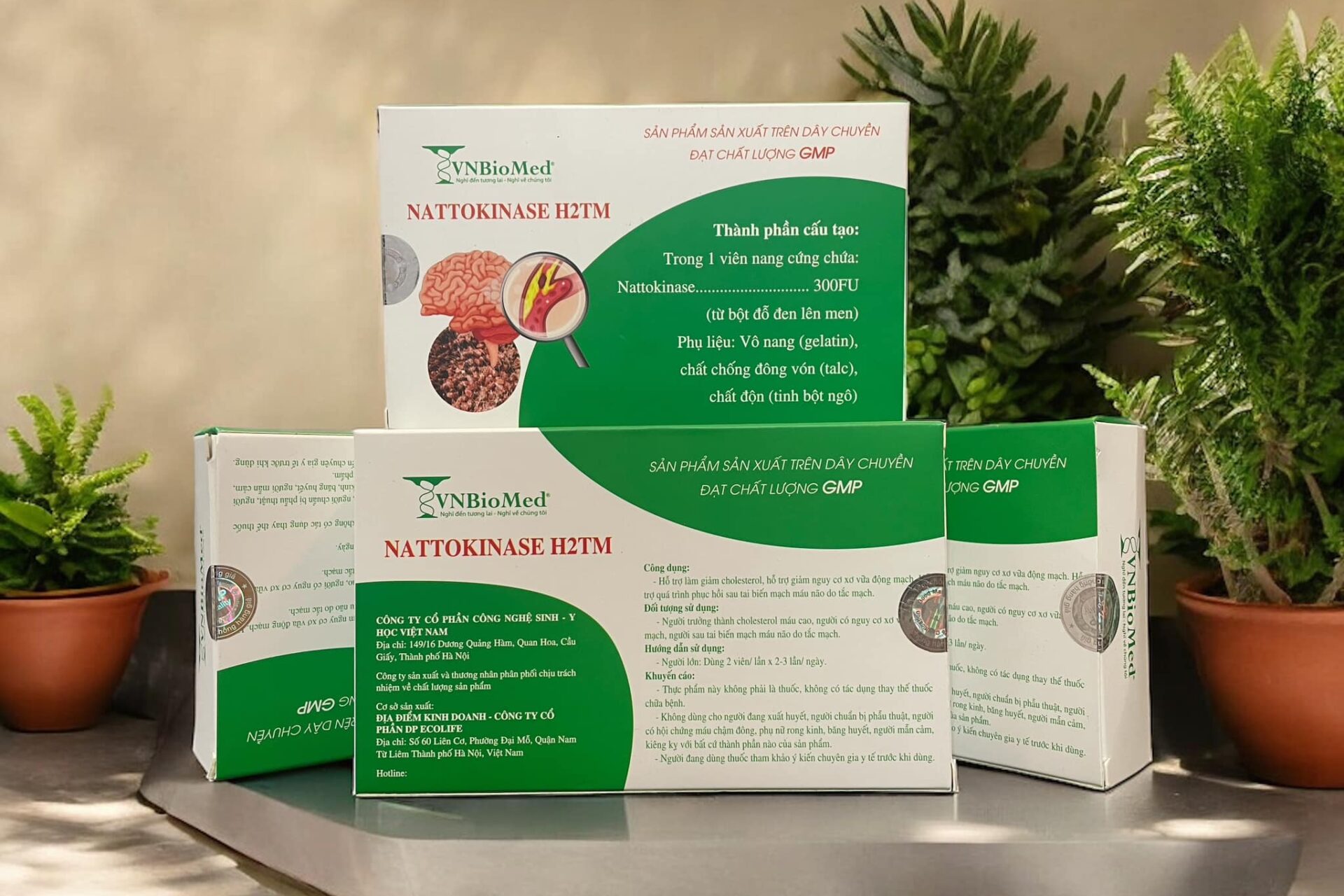 Natto Kinase for heart health - natural supplement from black suybeans to support circulation and blood pressure