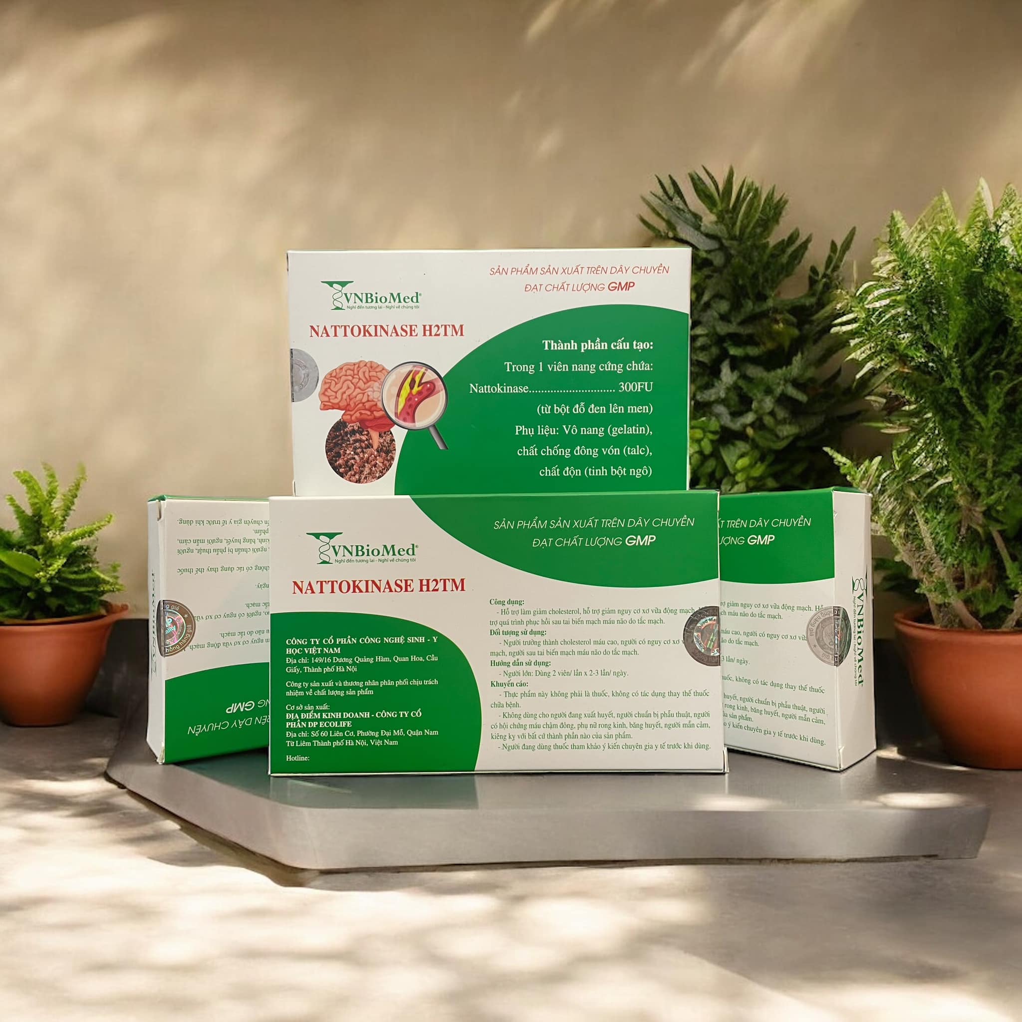 Natto Kinase for heart health - natural supplement from black suybeans to support circulation and blood pressure